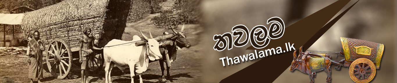 thawalama sri lanka tour agency- kandy eco travel