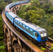 lanka tour agency by thawalama travels kandy