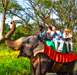 lanka tour agency by thawalama travels kandy